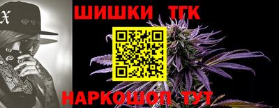 мяу мяу мука Гусиноозёрск