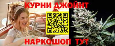 apvp Гусев