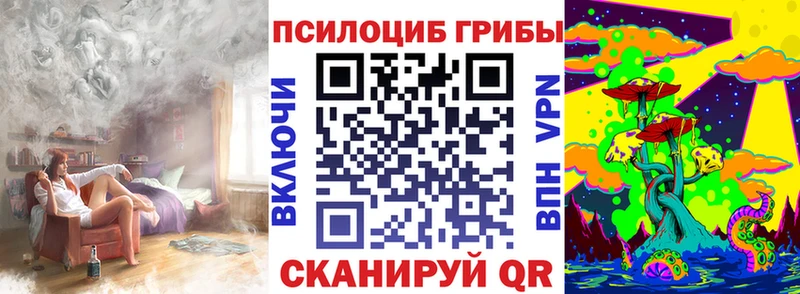 Псилоцибиновые грибы Cubensis  Заволжье 