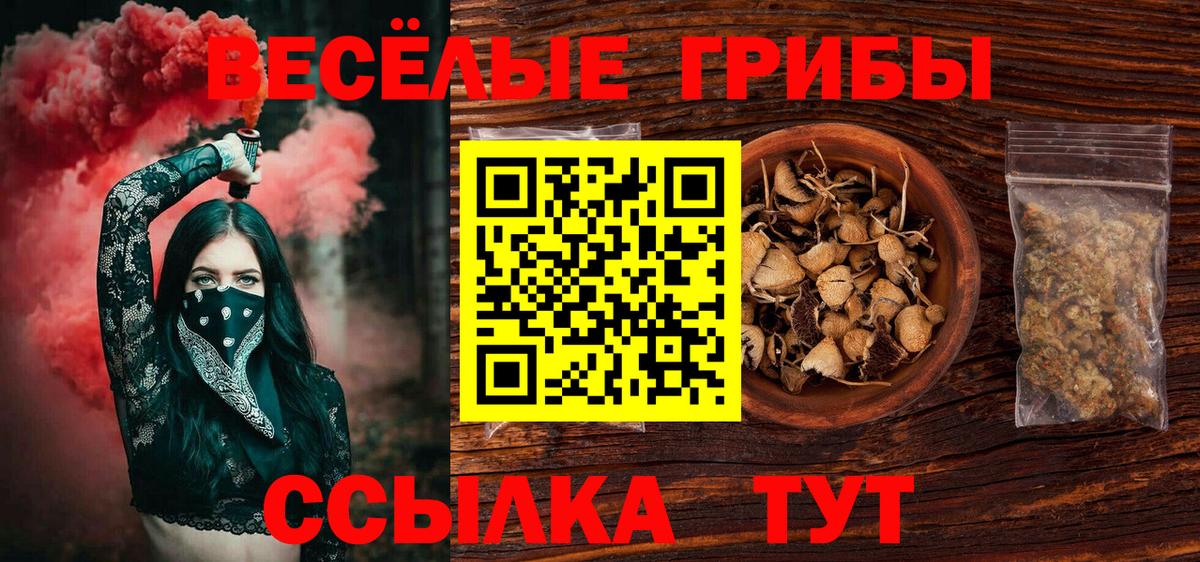 Псилоцибиновые грибы мицелий Заволжье