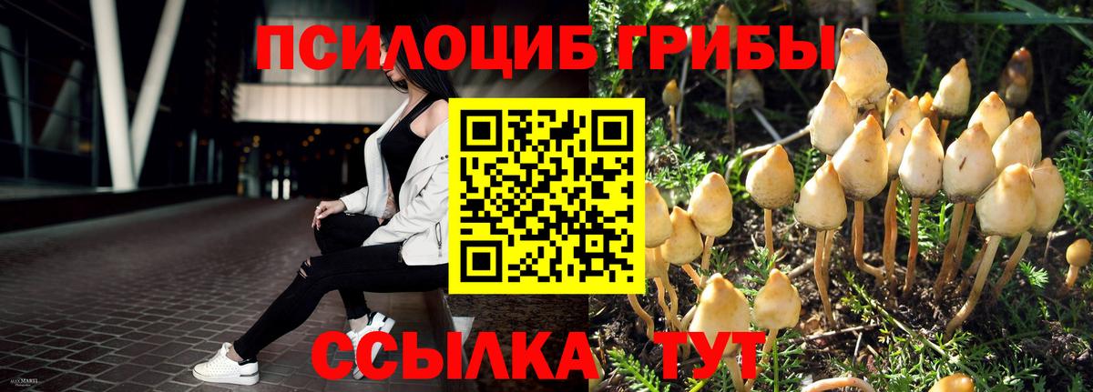 Псилоцибиновые грибы мицелий  Вход с VPN  Заволжье 