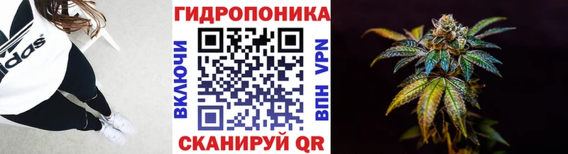 mega ТОР  Заволжье  Марихуана Amnesia 