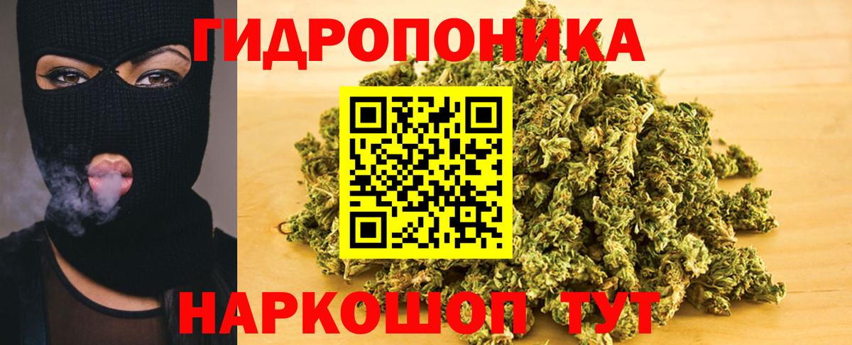 Бошки Шишки конопля Заволжье