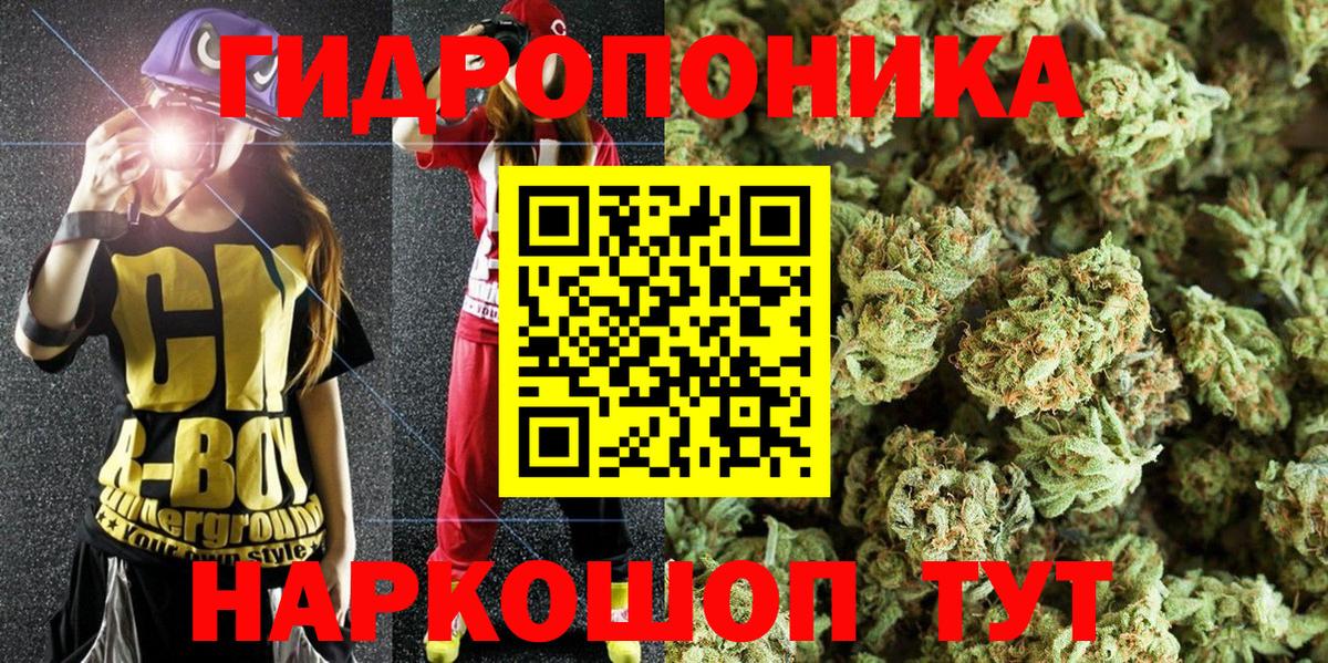 Бошки Шишки White Widow  Вход с VPN  Каннабис VHQ  Заволжье  Бошки Шишки планчик 